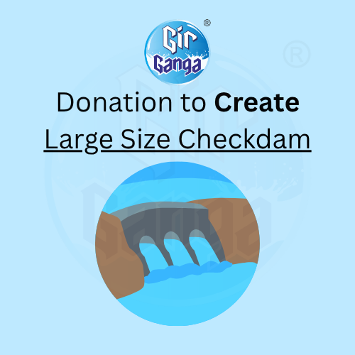 Large Checkdam Project